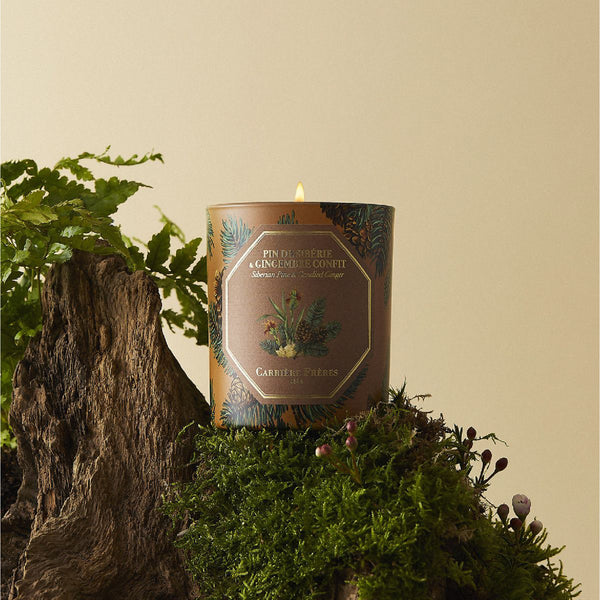 Siberian Pine & Candied Ginger 西伯利亞松柏與薑蜜餞 香薰蠟燭 2023年聖誕版