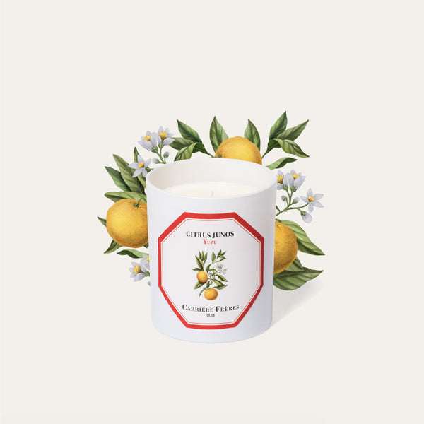 Yuzu Candle 柚子香薰蠟燭 Carriere Freres