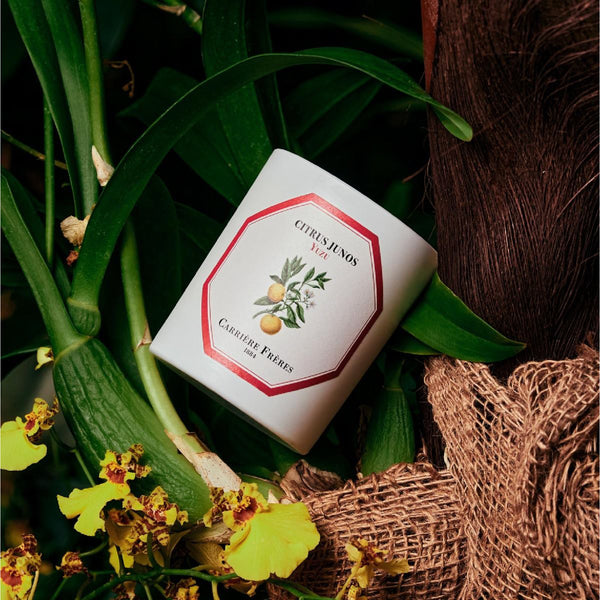 Yuzu Candle 柚子香薰蠟燭 Carriere Freres