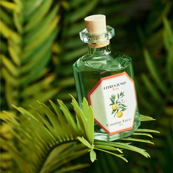 Yuzu Diffuser 柚子室內擴香 Carriere Freres
