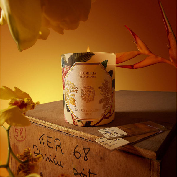 FRANGIPANI Candle 緬梔花香氛蠟燭 2024博物館限量版