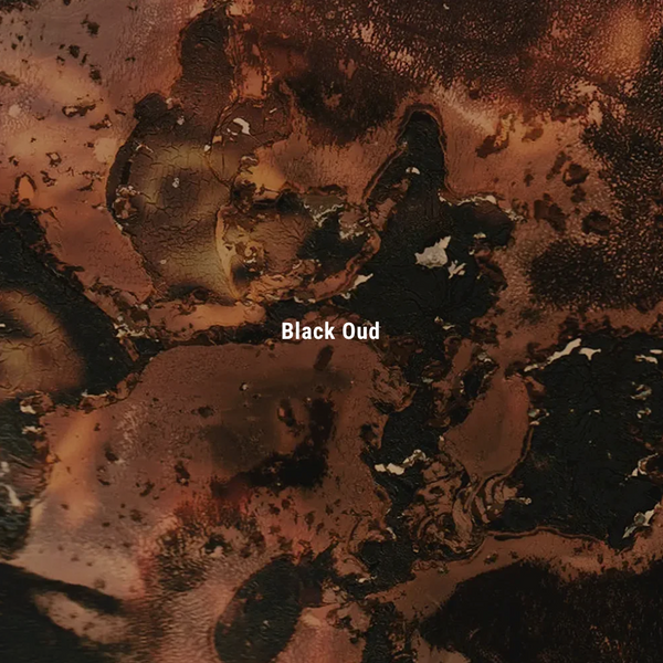 CLOSET TAG / Black Oud 衣櫃香薰掛牌