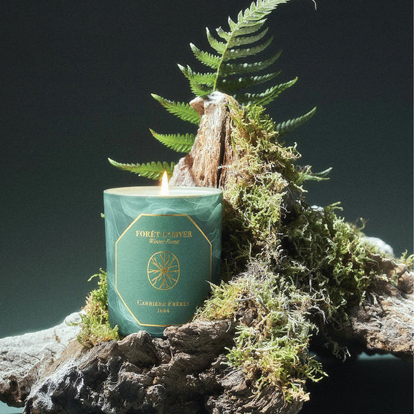 Winter Forest Candle 冬日森林 - 冬季限量版