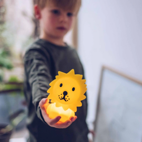 Lion Bundle of Light 迷你小夜燈