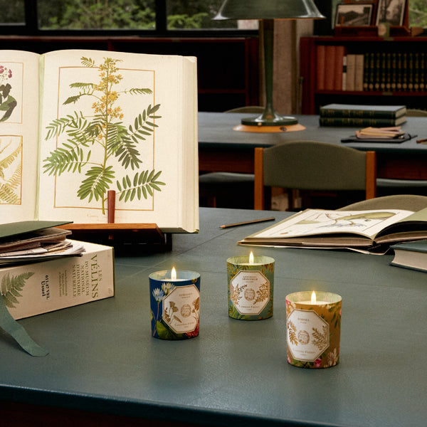 ROBINIA Candle 刺槐香氛蠟燭 2022博物館限量版 Carriere Freres
