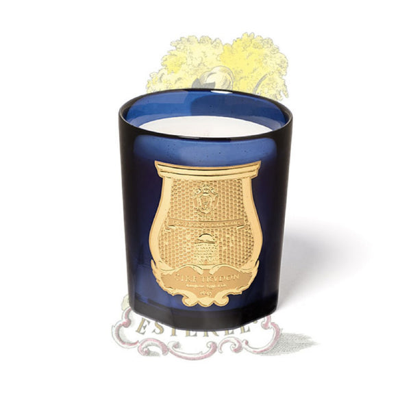 Esterel Candle 含羞草 佛手柑果皮 鳶尾花香薰蠟燭 270g Trudon
