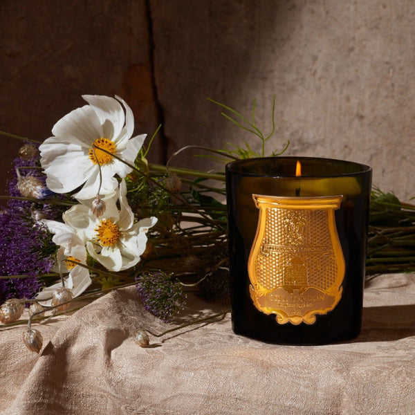 PROLETAIRE Candle 風鈴草 依蘭 麝香香薰蠟燭 270g Trudon