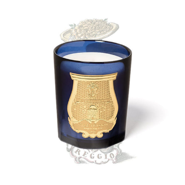 Reggio 西柚 柑橘 含羞草香薰蠟燭 270g Trudon