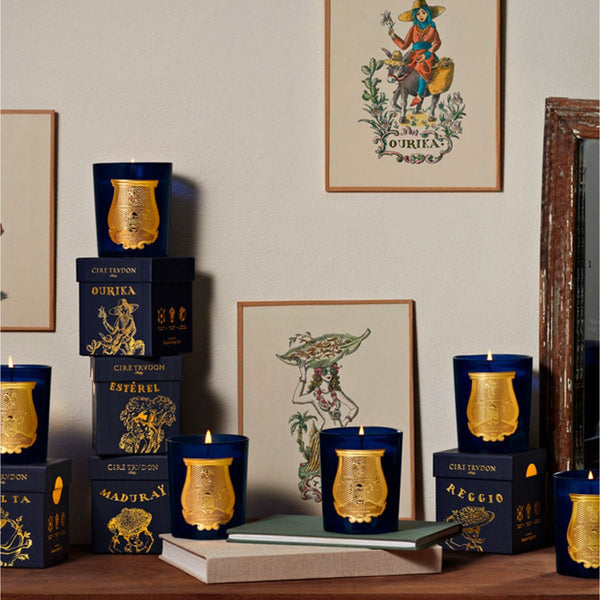Reggio 西柚 柑橘 含羞草香薰蠟燭 270g Trudon
