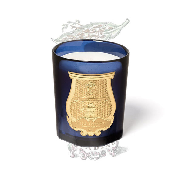 Tadine Candle 豆蔻 檀香 愈創木香薰蠟燭 270g Trudon