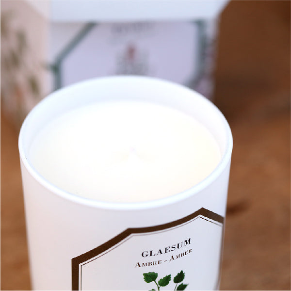 Carriere Freres Amber Candle