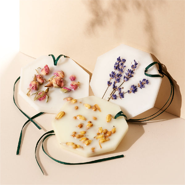 Carriere Freres Botanical Palets LAVENDER