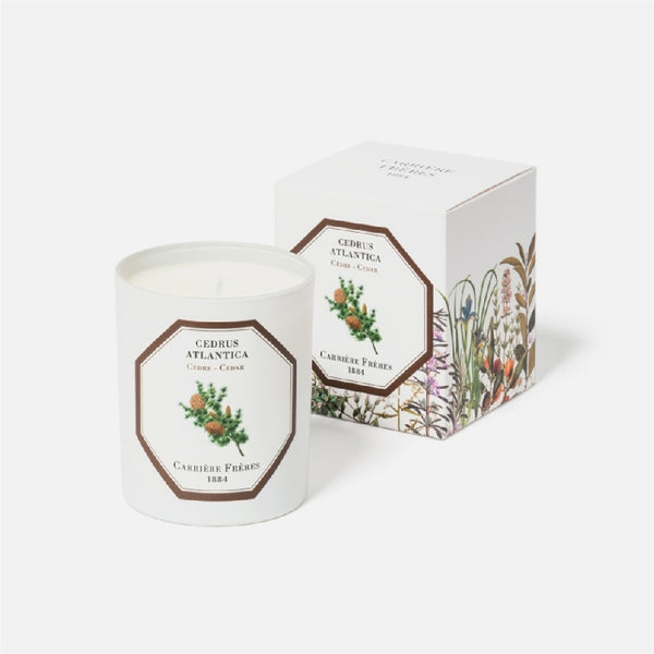 Carriere Freres Cedar Candle