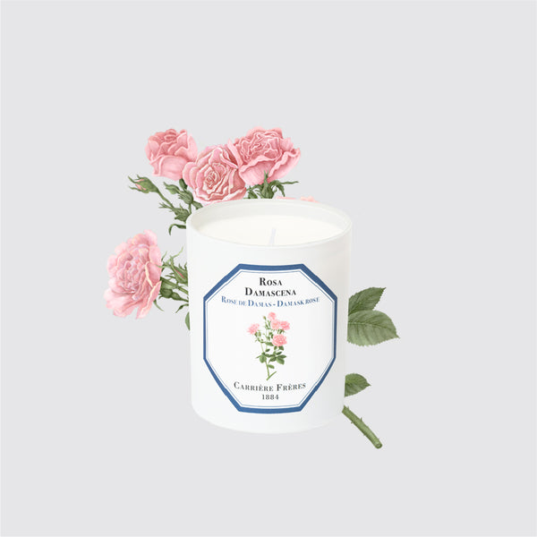 Carriere Freres Damask Rose Candle
