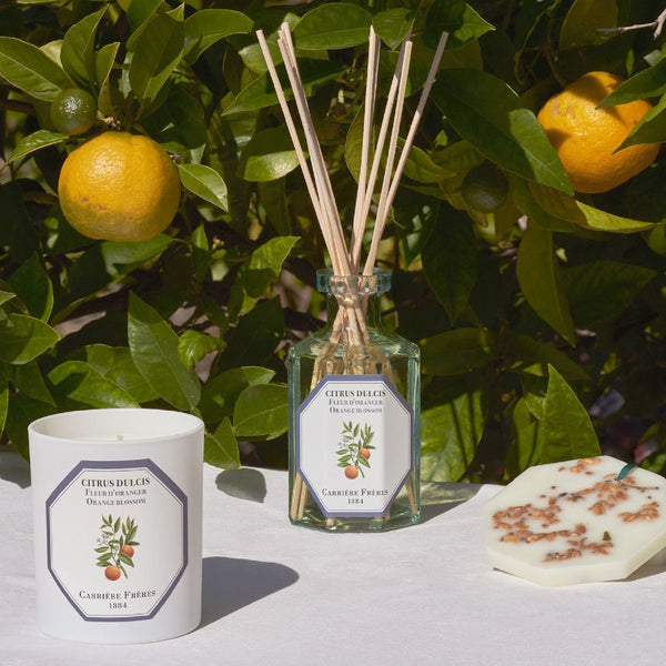 Orange Blossom Diffuser 橙花 室內擴香 Carriere Freres