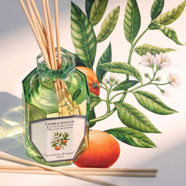 Orange Blossom Diffuser 橙花 室內擴香 Carriere Freres