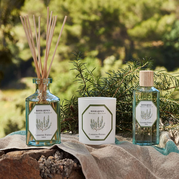 Rosemary Diffuser 迷迭香 室內擴香 Carriere Freres