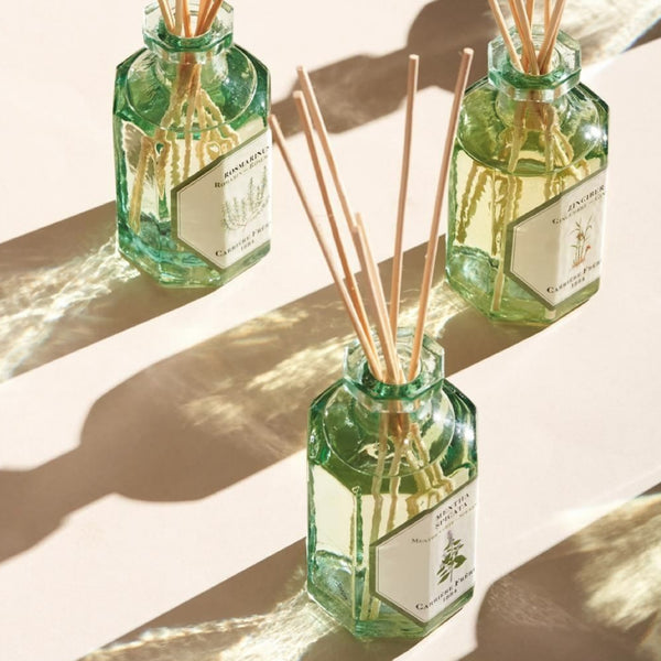 Carriere Freres Ginger Diffuser