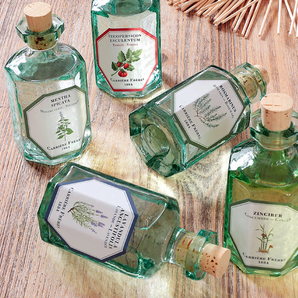 Carriere Freres Ginger Diffuser
