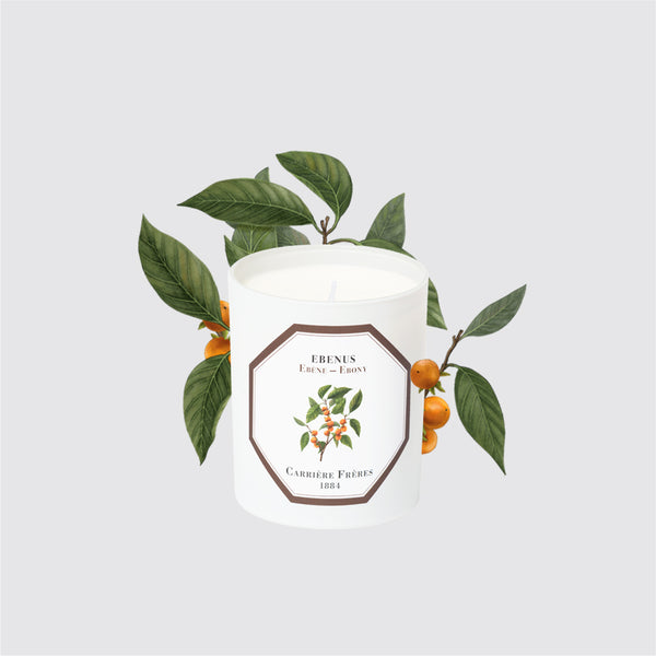 Carriere Freres Ebony Candle
