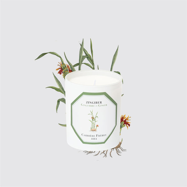 Carriere Freres Ginger Candle