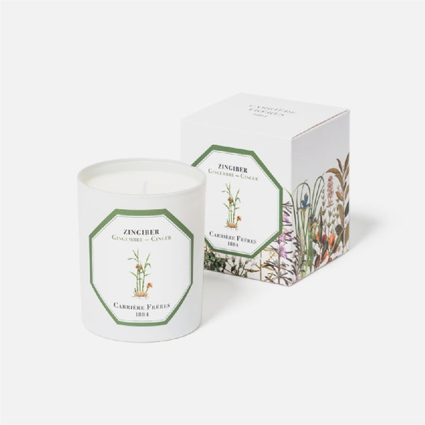 Carriere Freres Ginger Candle