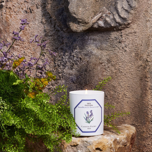 Carriere Freres Iris Candle
