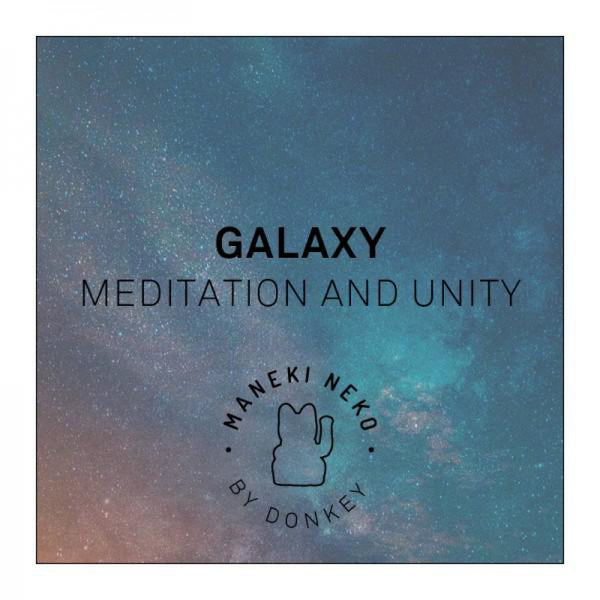Lucky Cat Dark Galaxy MANEKI NEKO by Donkey