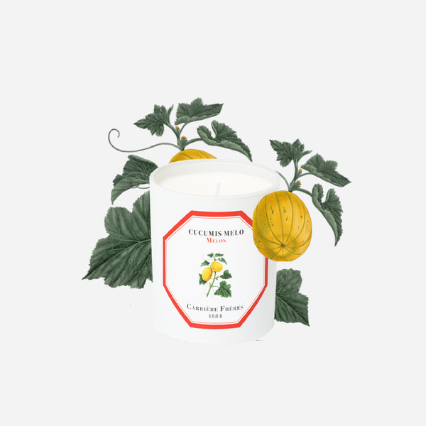 Carriere Freres MELON Candle