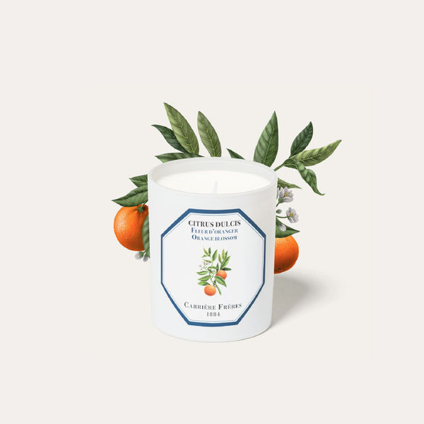 Orange Blossom Candle 橙花香薰蠟燭 Carriere Freres