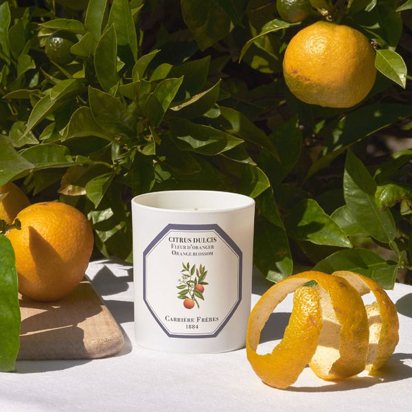 Orange Blossom Candle 橙花香薰蠟燭 Carriere Freres