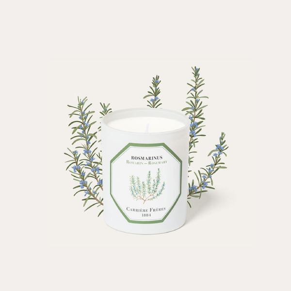 Rosemary Candle 迷迭香香薰蠟燭 Carriere Freres