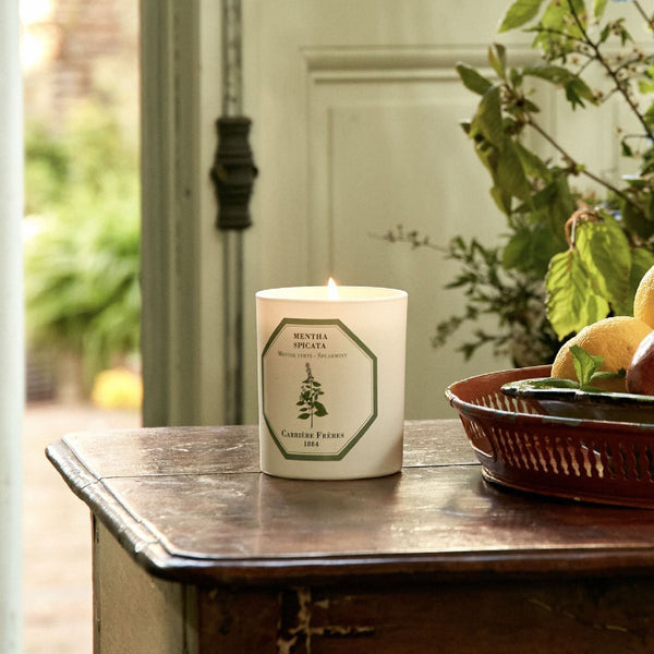 Spearmint Candle 綠薄荷香薰蠟燭 Carriere Freres