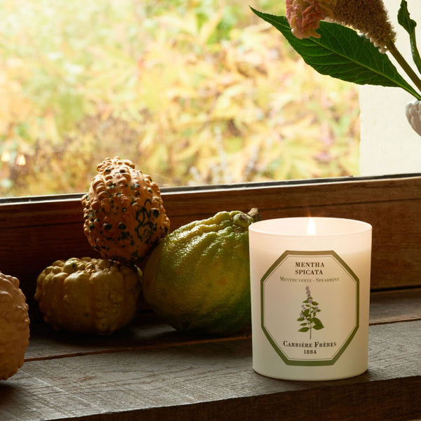 Spearmint Candle 綠薄荷香薰蠟燭 Carriere Freres