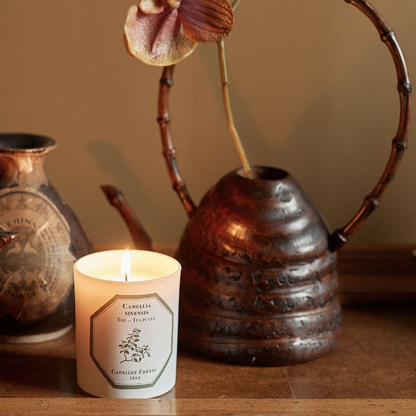 Tea Plant Candle 茶樹香薰蠟燭 Carriere Freres