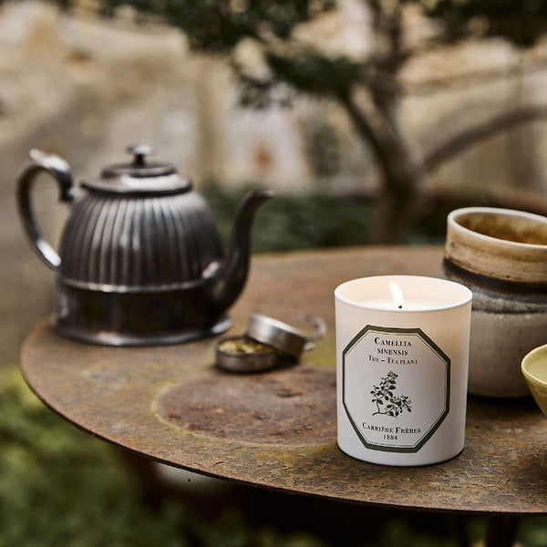 Tea Plant Candle 茶樹香薰蠟燭 Carriere Freres