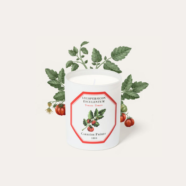 Tomato Candle 番茄香薰蠟燭 Carriere Freres
