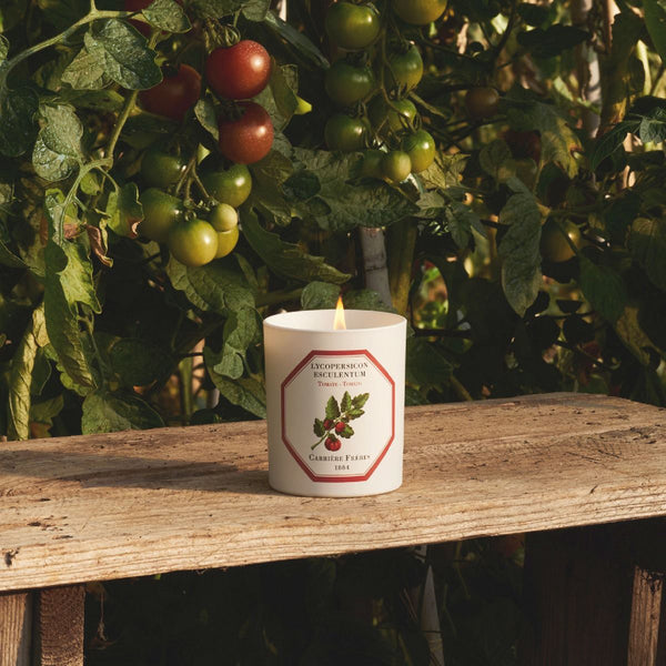 Tomato Candle 番茄香薰蠟燭 Carriere Freres
