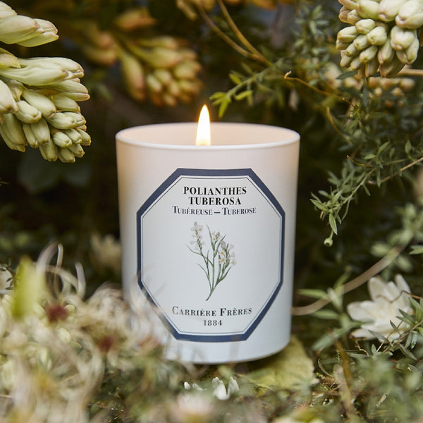 Carriere Freres Tuberose Candle