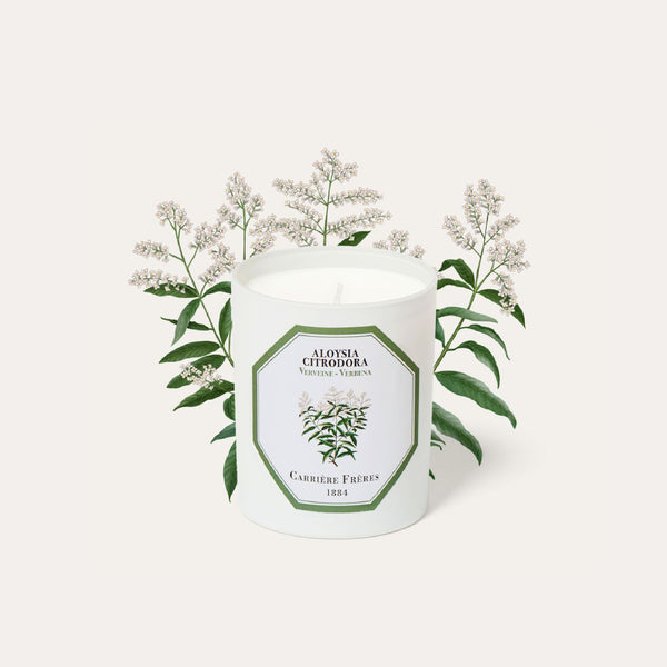 Verbena Candle 馬鞭草香薰蠟燭 Carriere Freres