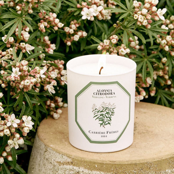 Verbena Candle 馬鞭草香薰蠟燭 Carriere Freres